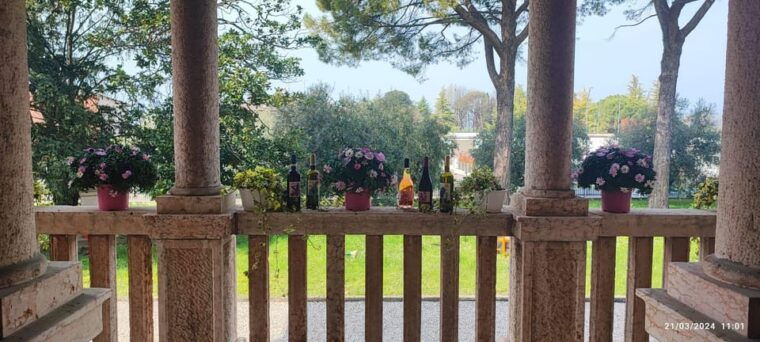 guided-tour-of-the-winery-with-wine-tasting