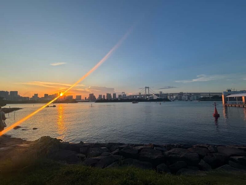 Guided tour of Tokyo: Ginza, Imperial Palace Gardens, and Odaiba - The Sum Up