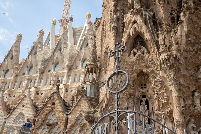 guided-tour-sagrada-familia-and-park-guell