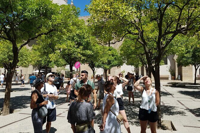 Guided Tour Sevilla Cathedral - Practical Considerations