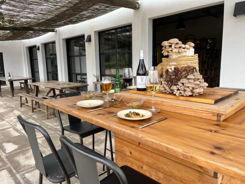 guided-tour-taste-in-a-mushroom-farm