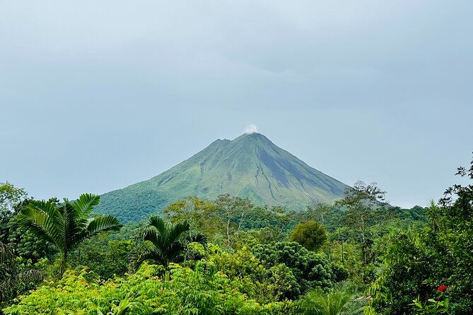 guided-tour-to-arenal-mistico-hanging-bridges-with-transfer