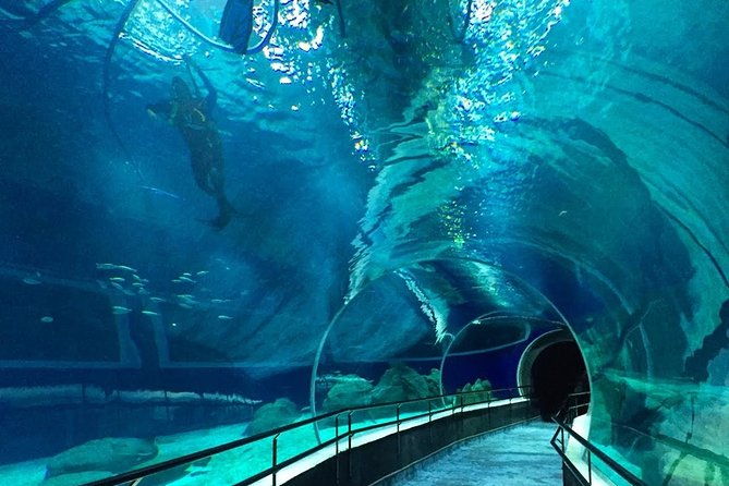 guided-tour-to-botanical-garden-and-lage-park