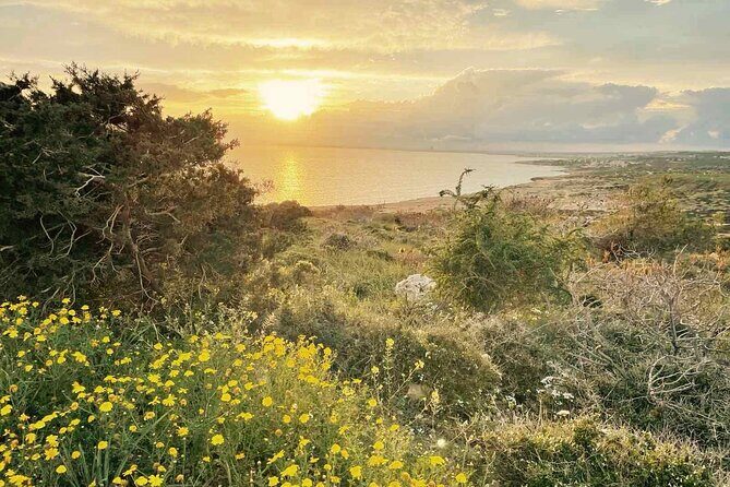 Guided Tour to Cape Greko from Larnaca - Personalized Service & Small Group Size