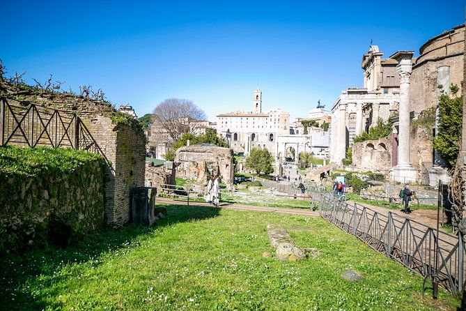 guided-tour-to-colosseum-roman-forum-and-palatine-hill