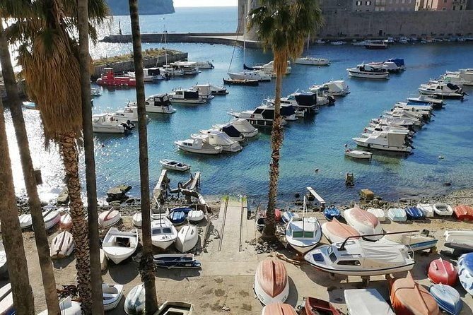 guided-tour-to-discover-dubrovniks-old-town-by-day-or-night