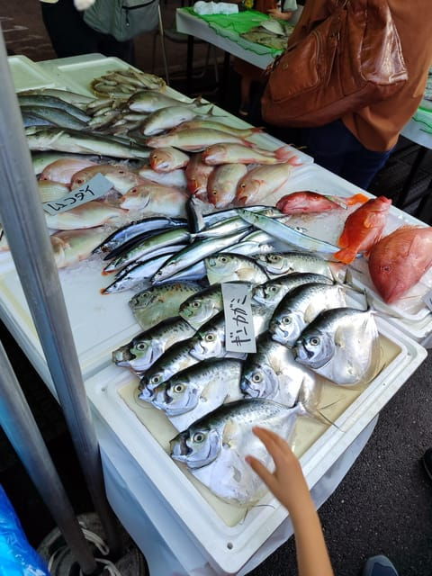 guided-tour-to-discover-tokyo