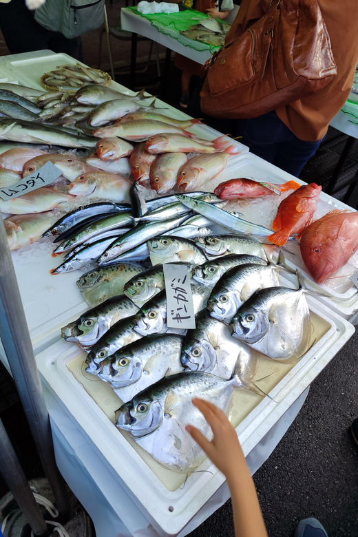 guided-tour-to-discover-tokyo