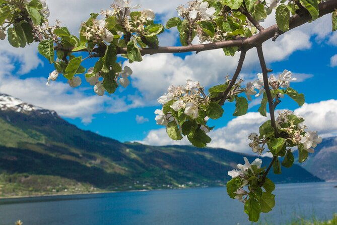 guided-tour-to-hardanger-fjord-waterfalls-and-ferry-crossing
