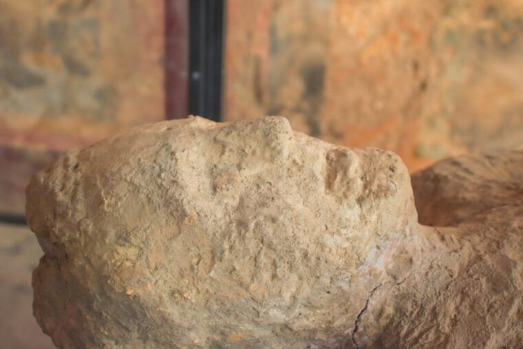 guided-tour-to-pompeii-and-vesuvius-from-sorrento
