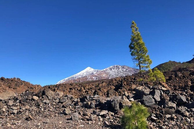 guided-tour-to-teide-national-park-in-tenerife-2