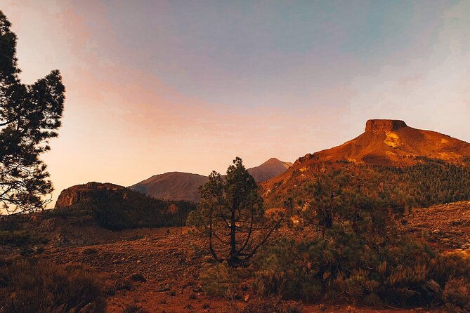 guided-tour-to-teide-national-park-in-tenerife-2
