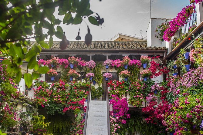 guided-tour-to-the-popular-patios-of-cordoba