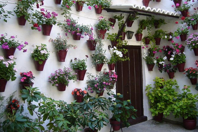 guided-tour-to-the-popular-patios-of-cordoba