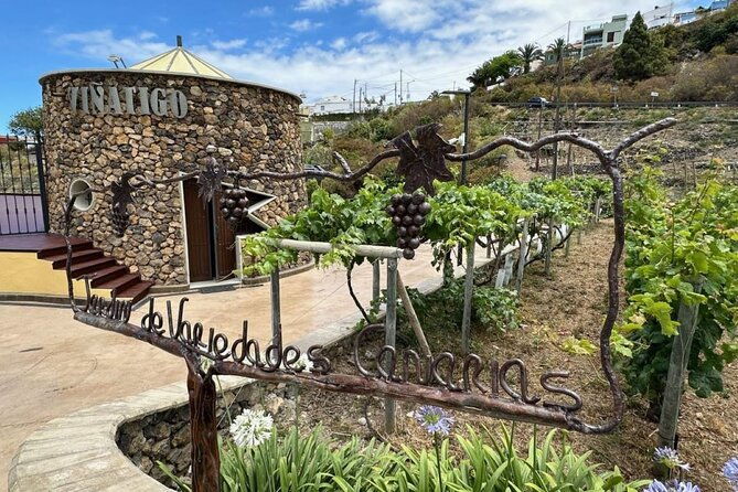 guided-tour-with-6-wine-tasting