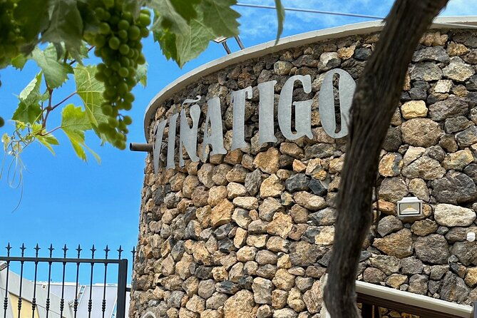 guided-tour-with-6-wine-tasting