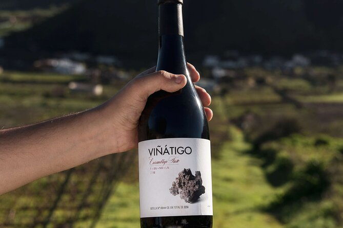 guided-tour-with-6-wine-tasting