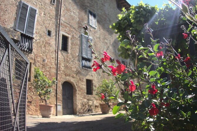 Guided tour with wine tasting and local organic products - Why This Tour Excels
