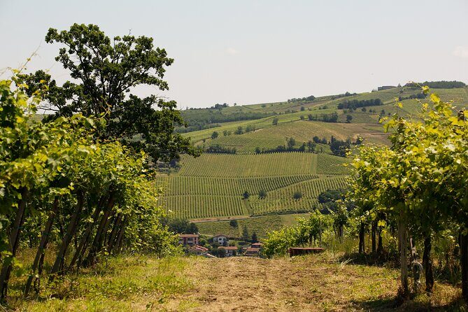 Guided tour with wine tasting - The value proposition