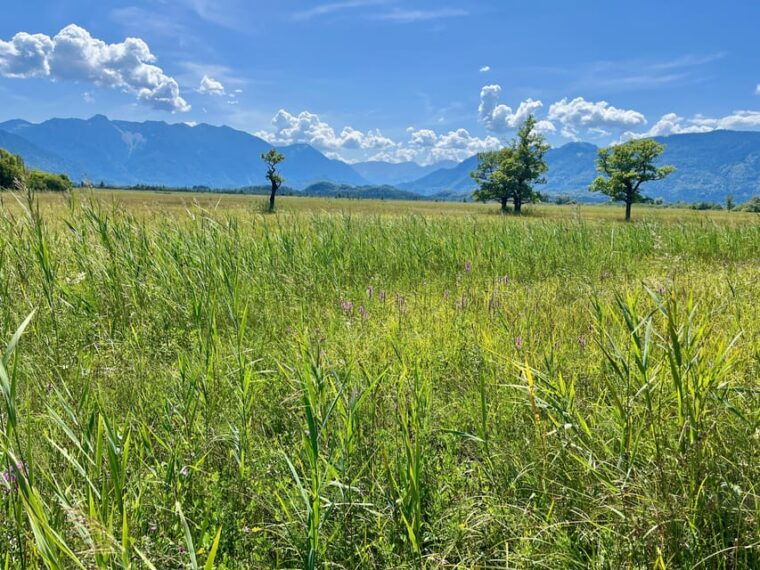 guided-tours-in-and-around-murnau-on-the-staffel-lake