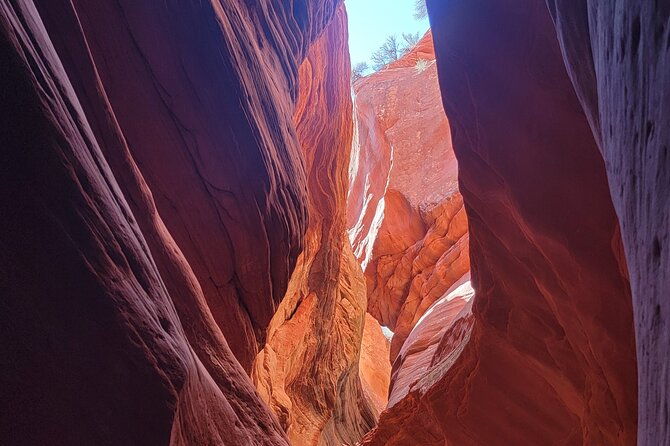 guided-tours-in-southern-utahs-slot-canyons-indian-ruins-and-national-parks
