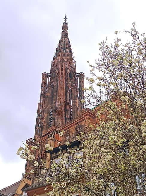 Guided tours of Strasbourg Cathedral - Key Points