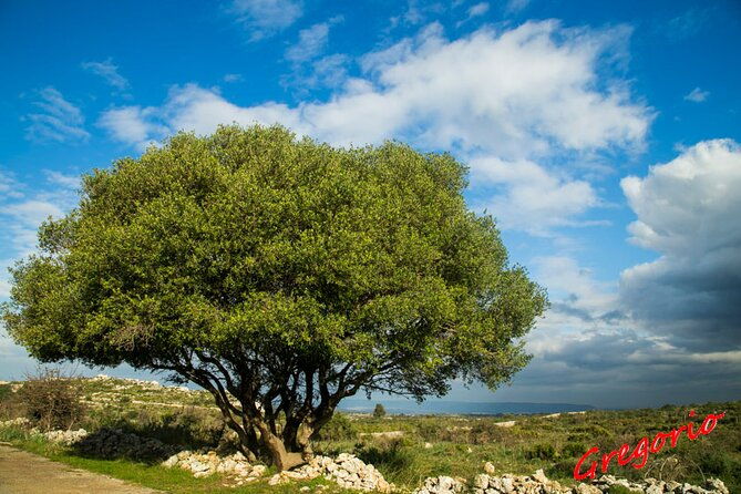 guided-trekking-to-cavagrande-del-cassibile-in-sicily