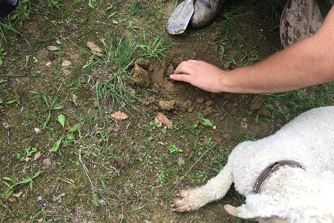guided-truffle-hunt-istria