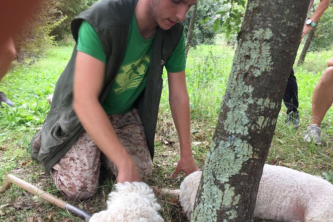 guided-truffle-hunt-istria