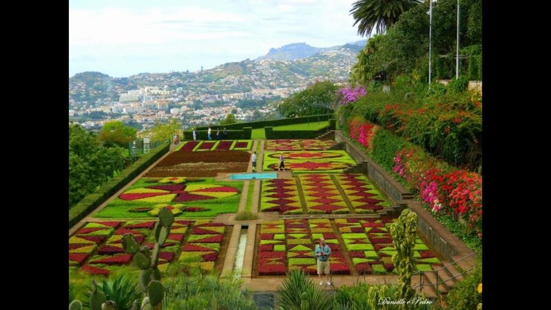 guided-tuk-tuk-tour-to-botanical-garden-from-funchal