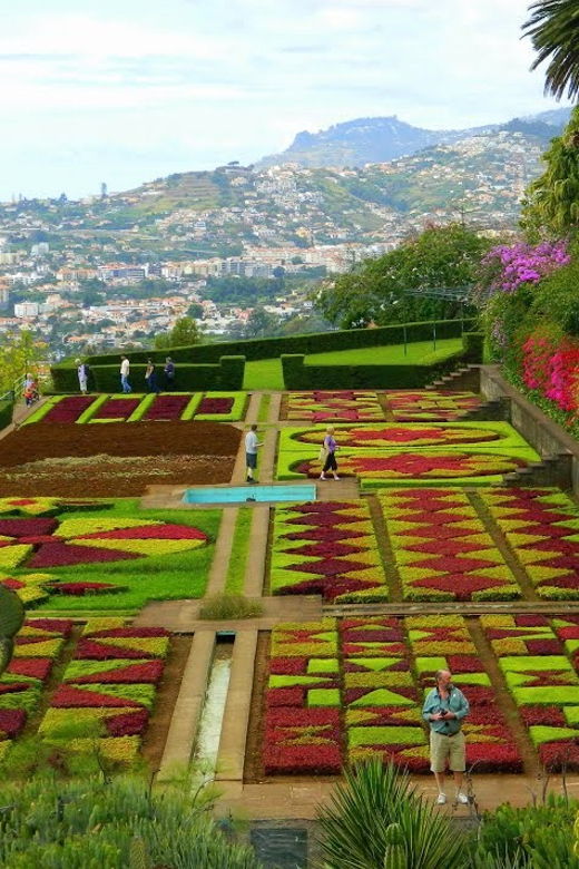 guided-tuk-tuk-tour-to-botanical-garden-from-funchal