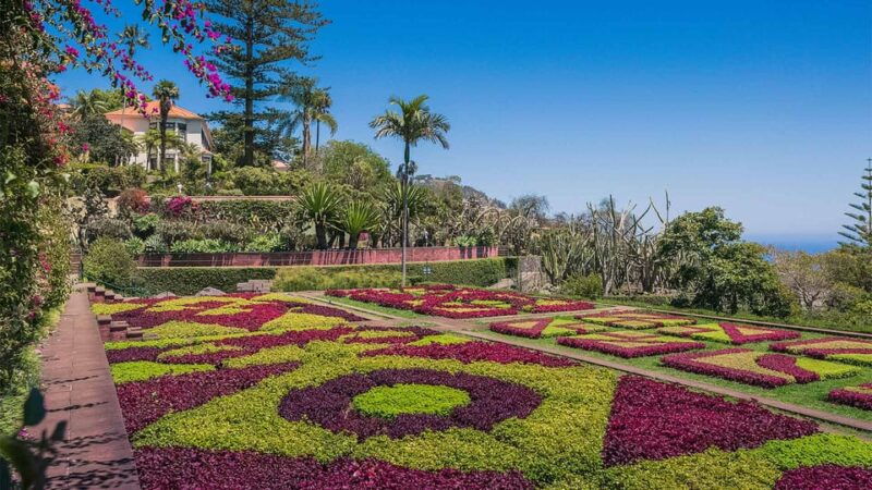 guided-tuk-tuk-tour-to-botanical-garden-from-funchal
