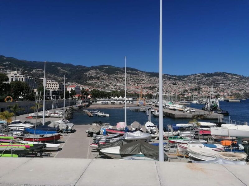 guided-tuk-tuk-tour-to-botanical-garden-from-funchal
