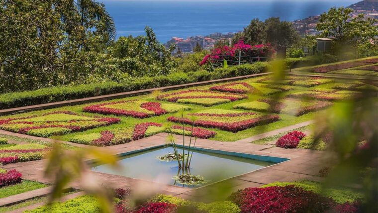 guided-tuk-tuk-tour-to-botanical-garden-from-funchal
