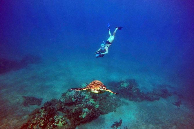 guided-turtle-town-snorkel-tour-with-sea-scooter-makena-2
