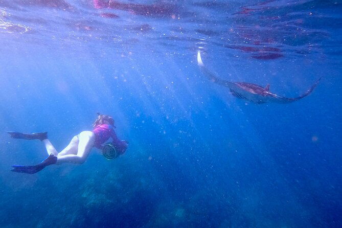 guided-turtle-town-snorkel-tour-with-sea-scooter-makena-2