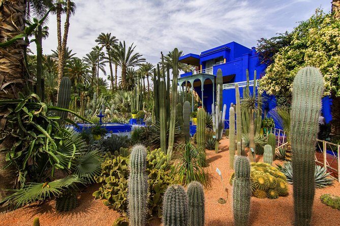 Guided Unveiling the Medina's Wonders of Marrakech - The Breakdown: Why This Tour Offers Real Value  