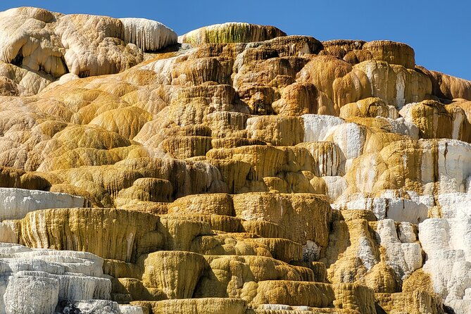 guided-upper-loop-of-yellowstone-tour-from-cody-wy