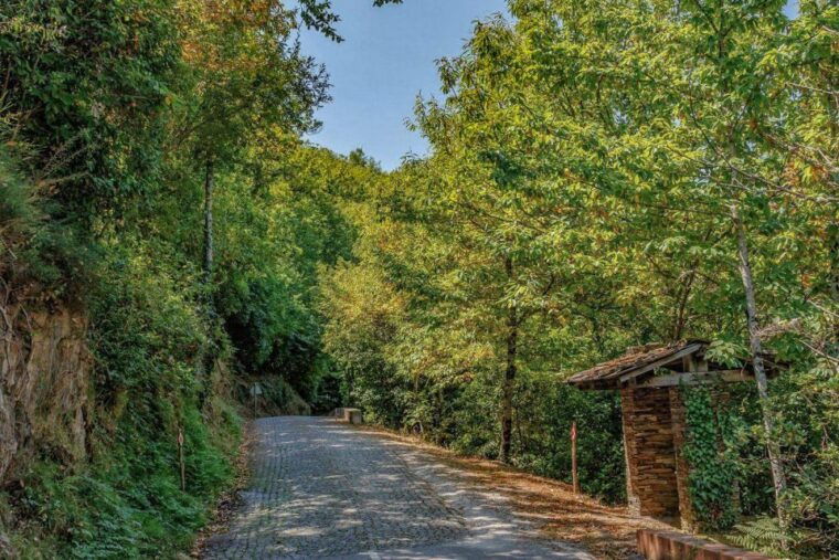 guided-van-tour-in-piodao-and-serra-do-acor-coimbra