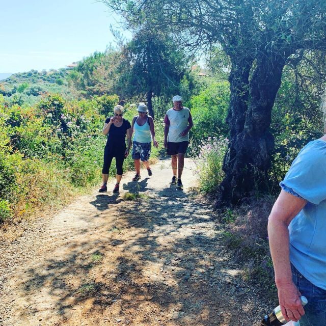 Guided Village walk with Stories in Dharamsala - A Gentle Introduction to Himachali Rural Life