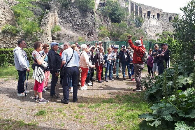 guided-visit-of-pompei-and-mount-vesuvius-tour-with-pizza-lunch