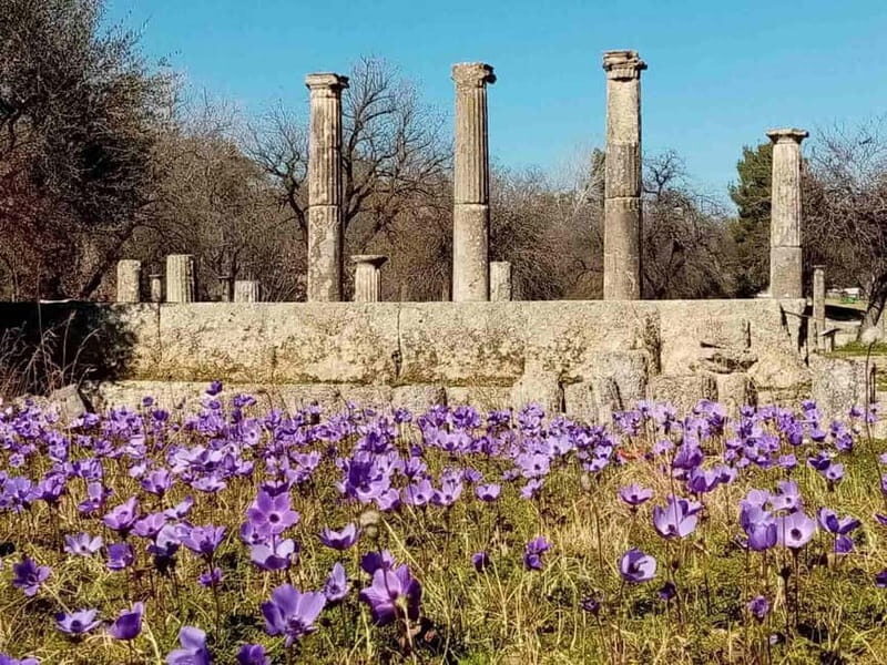 Guided visit to ancient Olympia with an Italian archaeologist tour guide - Key Points