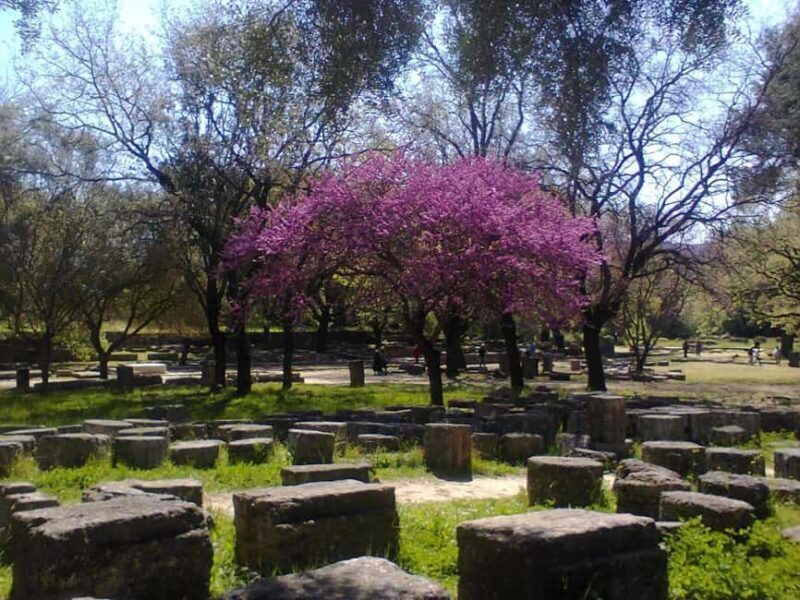 Guided visit to ancient Olympia with an Italian-Greek archaeologist tour guide - Key Points