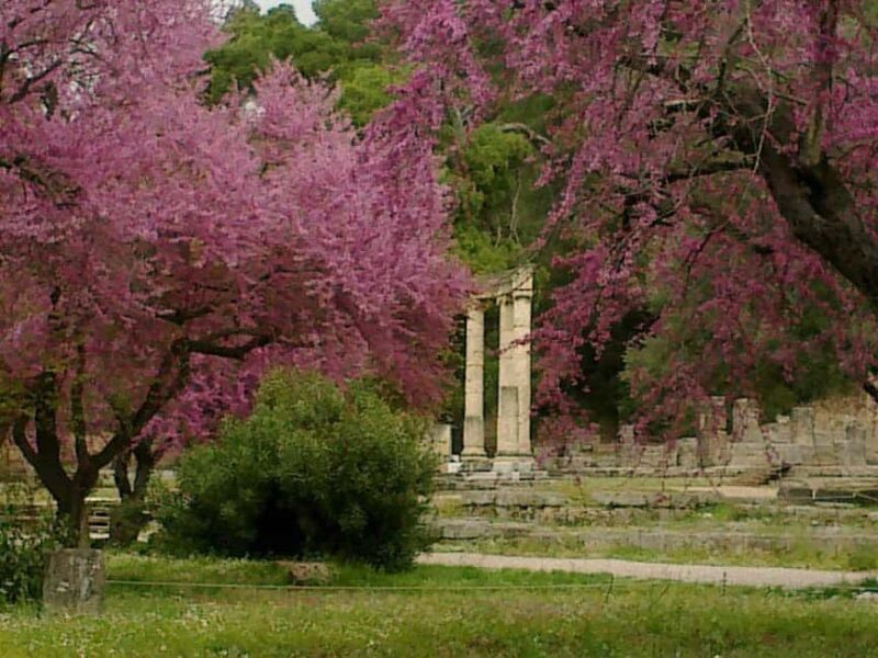 Guided visit to ancient Olympia with an Italian-Greek archaeologist tour guide - The Itinerary in Detail