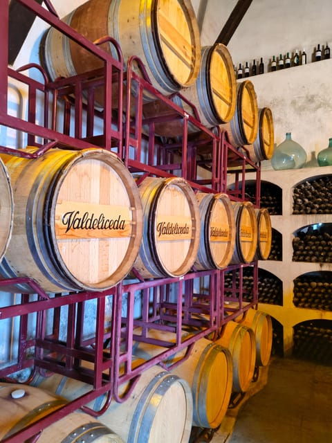 guided-visit-to-bodega-del-nero-winery