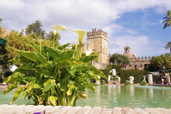 guided-visit-to-cordoba-monumental