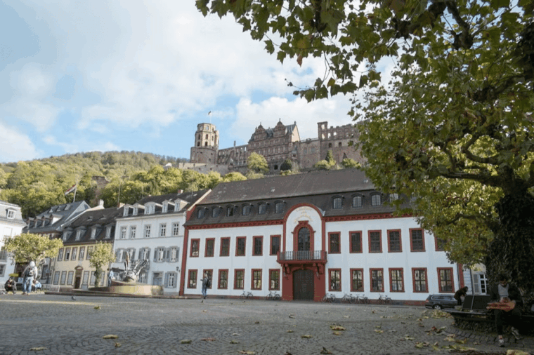guided-visit-to-heidelberg