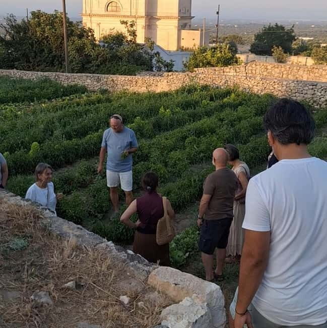 Guided visit to the Medieval Gardens of Ostuni - Whats Included and Whats Not