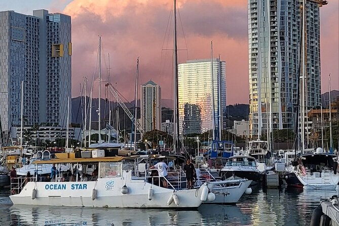 guided-waikiki-turtle-snorkeling-with-free-pick-up