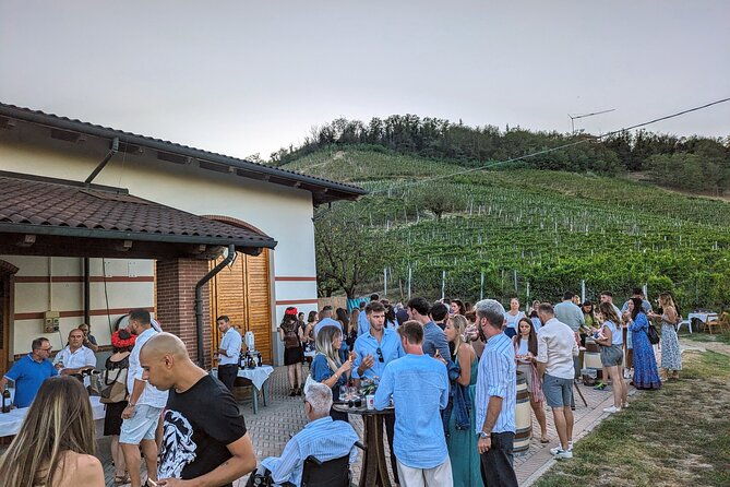 guided-walk-and-lunch-in-the-vineyard-in-alba